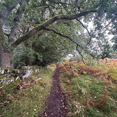 Red Squirrel Cottage Strathtay Exterior photo
