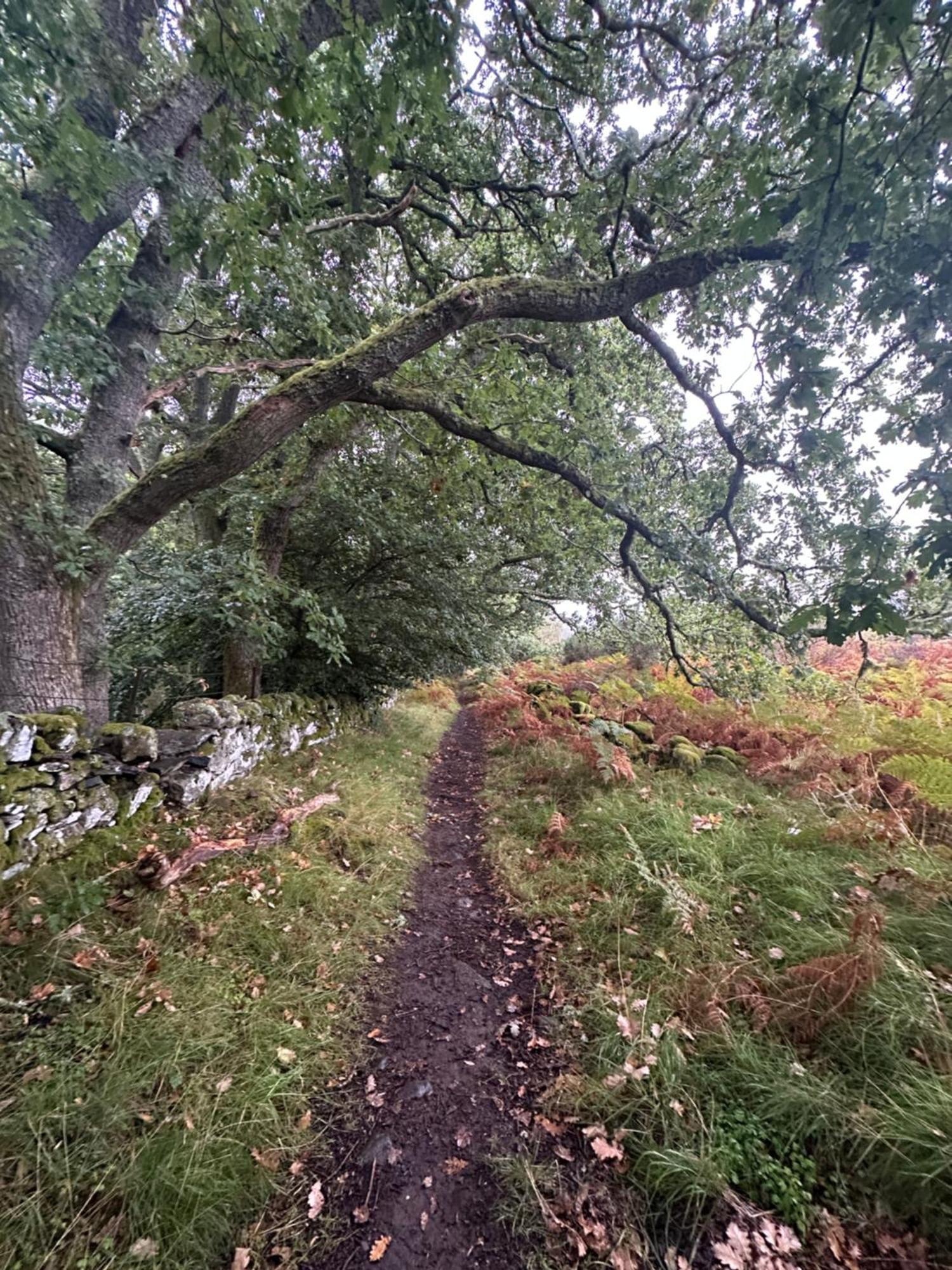 Red Squirrel Cottage Strathtay Exterior photo